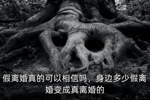 假離婚真的可以相信嗎，身邊多少假離婚變成真離婚的