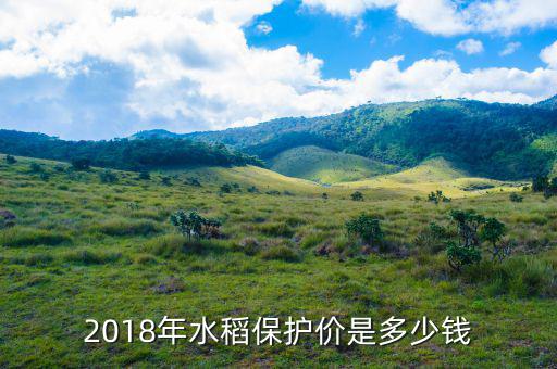 15年水稻保護價多少錢,2019年水稻還有保護價嗎