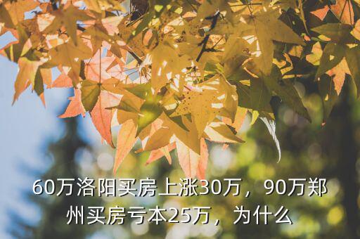60萬洛陽買房上漲30萬，90萬鄭州買房虧本25萬，為什么