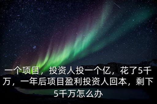 一個(gè)項(xiàng)目，投資人投一個(gè)億，花了5千萬(wàn)，一年后項(xiàng)目盈利投資人回本，剩下5千萬(wàn)怎么辦