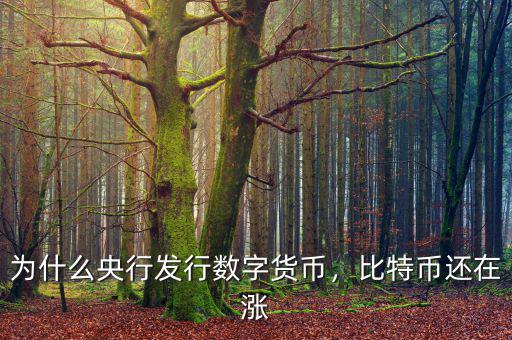 為什么央行發(fā)行數(shù)字貨幣，比特幣還在漲