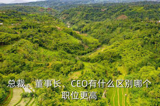 總裁、董事長(zhǎng)、CEO有什么區(qū)別哪個(gè)職位更高