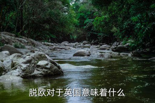 脫歐對(duì)于英國意味著什么