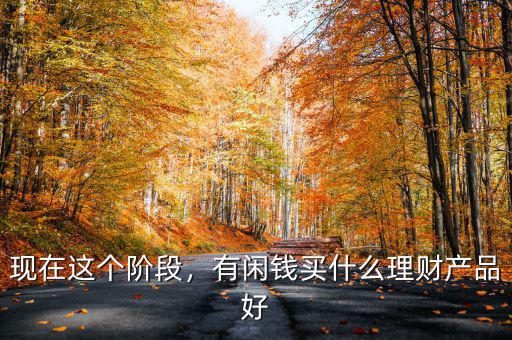 現(xiàn)在這個(gè)階段，有閑錢(qián)買(mǎi)什么理財(cái)產(chǎn)品好