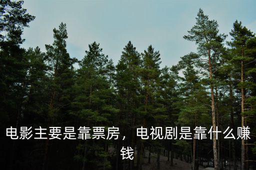 電影主要是靠票房，電視劇是靠什么賺錢