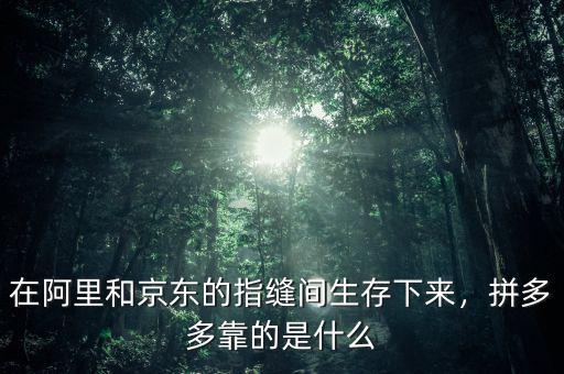 在阿里和京東的指縫間生存下來，拼多多靠的是什么