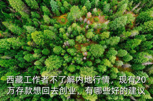 西藏工作者不了解內(nèi)地行情，現(xiàn)有20萬(wàn)存款想回去創(chuàng)業(yè)，有哪些好的建議