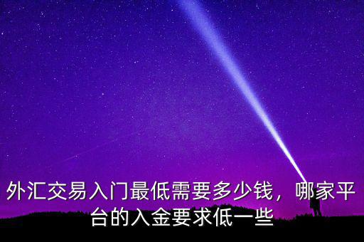 外匯交易入門最低需要多少錢，哪家平臺(tái)的入金要求低一些