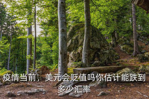 疫情當(dāng)前，美元會(huì)貶值嗎你估計(jì)能跌到多少匯率