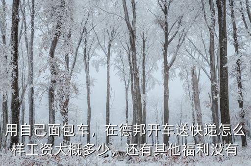 用自己面包車，在德邦開車送快遞怎么樣工資大概多少，還有其他福利沒(méi)有