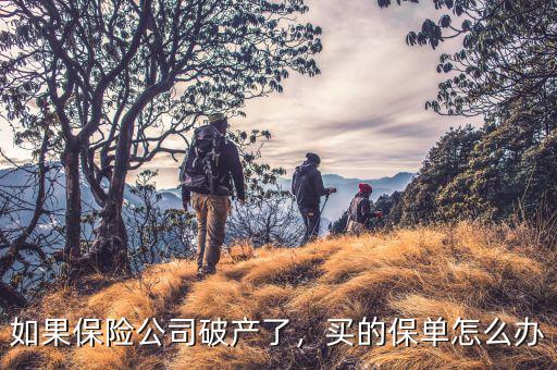 如果保險公司破產(chǎn)了，買的保單怎么辦