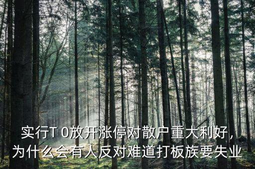 實(shí)行T 0放開漲停對(duì)散戶重大利好，為什么會(huì)有人反對(duì)難道打板族要失業(yè)