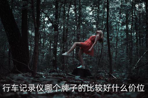 行車記錄儀哪個牌子的比較好什么價(jià)位
