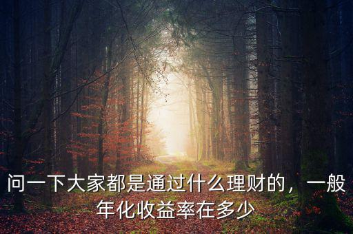 問一下大家都是通過什么理財(cái)?shù)?，一般年化收益率在多? class=