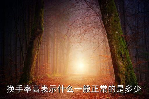 樓盤(pán)換手率是什么,什么是股票換手率