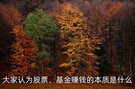 大家認為股票、基金賺錢的本質(zhì)是什么