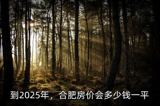到2025年，合肥房?jī)r(jià)會(huì)多少錢(qián)一平
