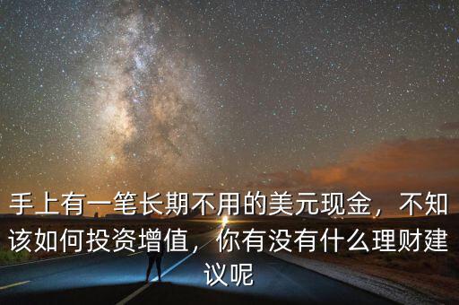 手上有一筆長(zhǎng)期不用的美元現(xiàn)金，不知該如何投資增值，你有沒(méi)有什么理財(cái)建議呢