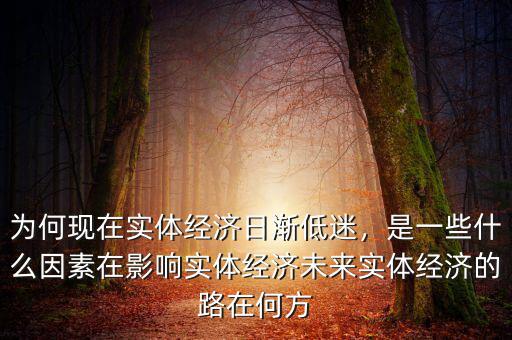 為何現(xiàn)在實體經(jīng)濟(jì)日漸低迷，是一些什么因素在影響實體經(jīng)濟(jì)未來實體經(jīng)濟(jì)的路在何方