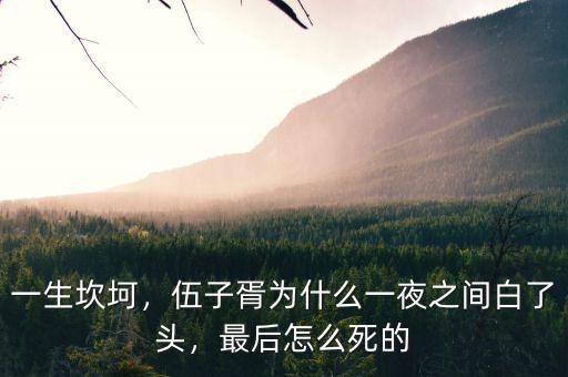 一生坎坷，伍子胥為什么一夜之間白了頭，最后怎么死的
