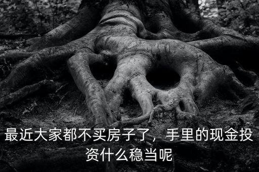 最近大家都不買(mǎi)房子了，手里的現(xiàn)金投資什么穩(wěn)當(dāng)呢