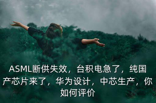 ASML斷供失效，臺積電急了，純國產(chǎn)芯片來了，華為設(shè)計，中芯生產(chǎn)，你如何評價