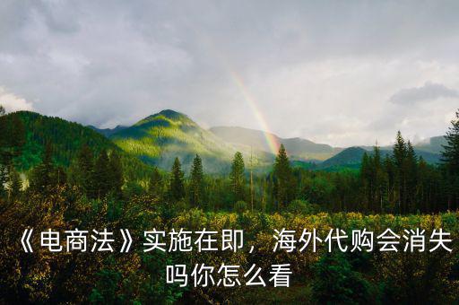 《電商法》實(shí)施在即，海外代購會消失嗎你怎么看