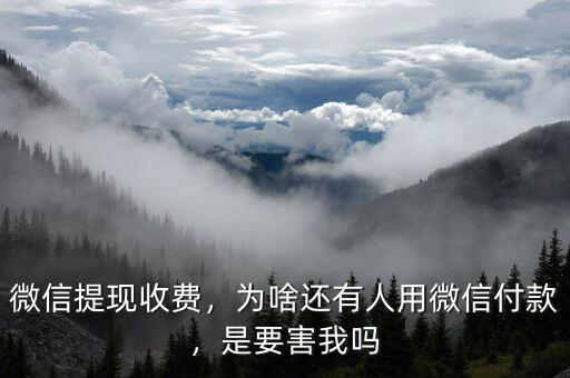 微信提現(xiàn)收費，為啥還有人用微信付款，是要害我嗎