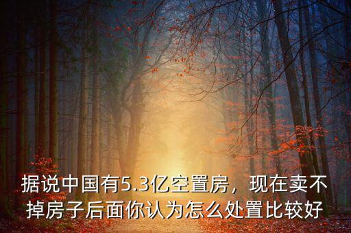據(jù)說中國有5.3億空置房，現(xiàn)在賣不掉房子后面你認(rèn)為怎么處置比較好