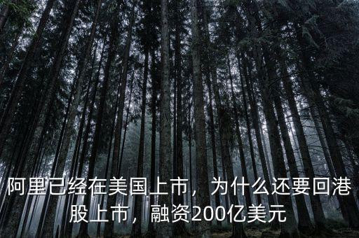 阿里已經(jīng)在美國上市，為什么還要回港股上市，融資200億美元
