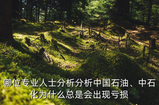哪位專業(yè)人士分析分析中國石油、中石化為什么總是會出現虧損