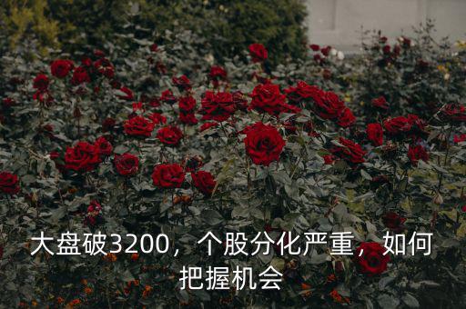 大盤破3200，個(gè)股分化嚴(yán)重，如何把握機(jī)會(huì)