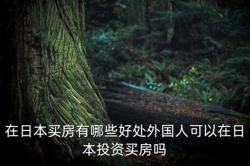 在日本買(mǎi)房有哪些好處外國(guó)人可以在日本投資買(mǎi)房嗎