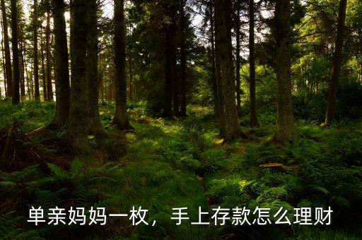 單親媽媽一枚，手上存款怎么理財