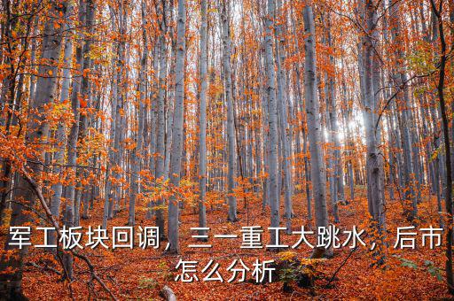 軍工板塊回調(diào)，三一重工大跳水，后市怎么分析