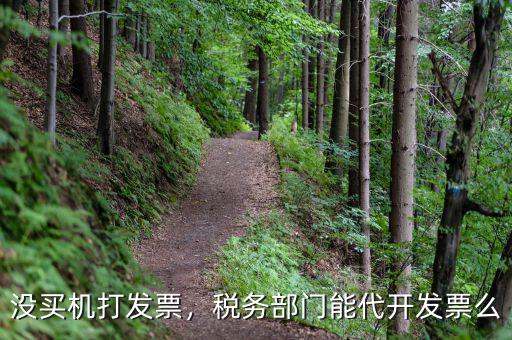 沒買機打發(fā)票，稅務部門能代開發(fā)票么