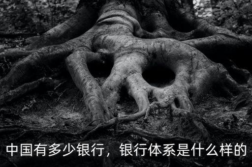 中國有多少銀行，銀行體系是什么樣的