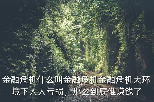 金融危機(jī)什么叫金融危機(jī)金融危機(jī)大環(huán)境下人人虧損，那么到底誰賺錢了
