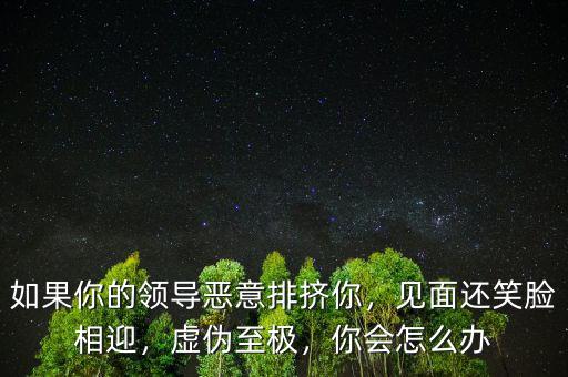 如果你的領(lǐng)導惡意排擠你，見面還笑臉相迎，虛偽至極，你會怎么辦