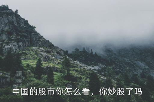 中國(guó)的股市你怎么看，你炒股了嗎