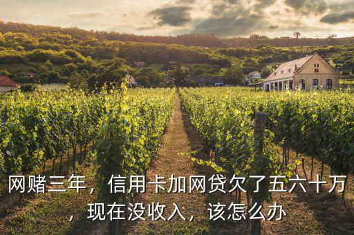 網(wǎng)賭三年，信用卡加網(wǎng)貸欠了五六十萬，現(xiàn)在沒收入，該怎么辦