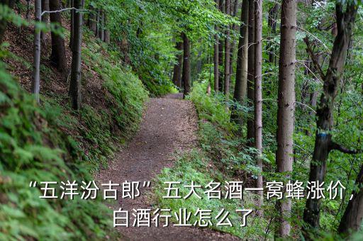 “五洋汾古郎”五大名酒一窩蜂漲價，白酒行業(yè)怎么了