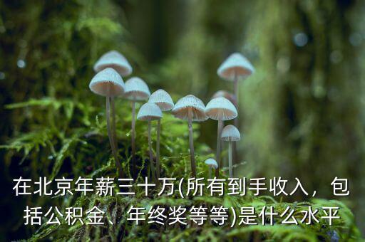 在北京年薪三十萬(所有到手收入，包括公積金、年終獎等等)是什么水平