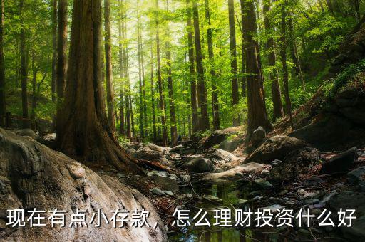現(xiàn)在有點(diǎn)小存款，怎么理財(cái)投資什么好