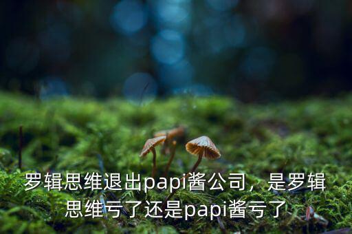 羅輯思維退出papi醬公司，是羅輯思維虧了還是papi醬虧了