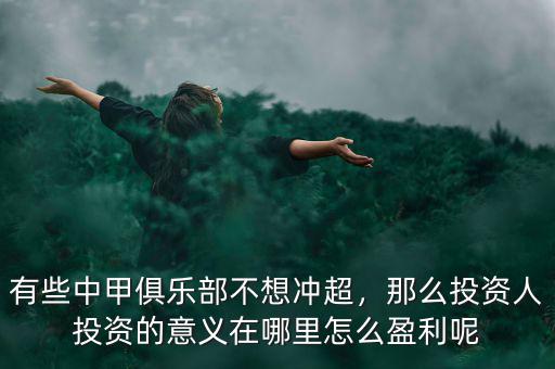 有些中甲俱樂部不想沖超，那么投資人投資的意義在哪里怎么盈利呢