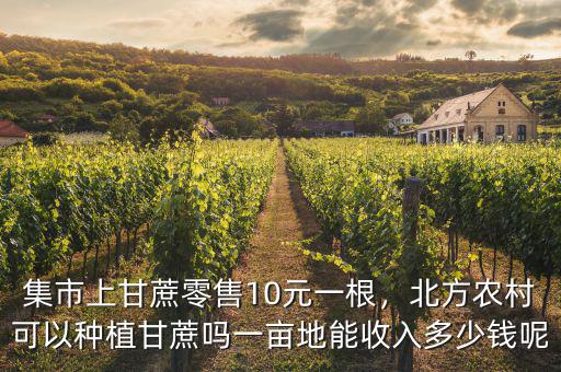 集市上甘蔗零售10元一根，北方農(nóng)村可以種植甘蔗嗎一畝地能收入多少錢呢