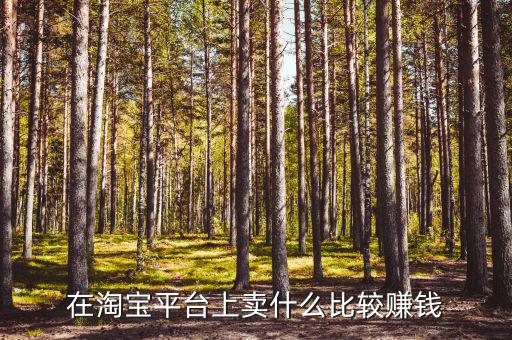 在淘寶平臺(tái)上賣什么比較賺錢(qián)