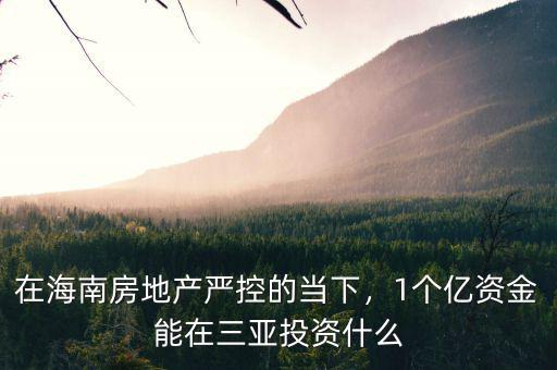 在海南房地產(chǎn)嚴(yán)控的當(dāng)下，1個(gè)億資金能在三亞投資什么