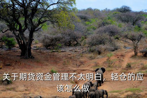 關(guān)于期貨資金管理不太明白，輕倉的應(yīng)該怎么做